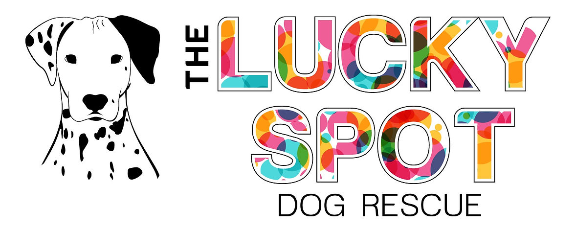 The Lucky Spot Dog Rescue: Maddy the Dalmatian beside the original colorful spotted wordmark